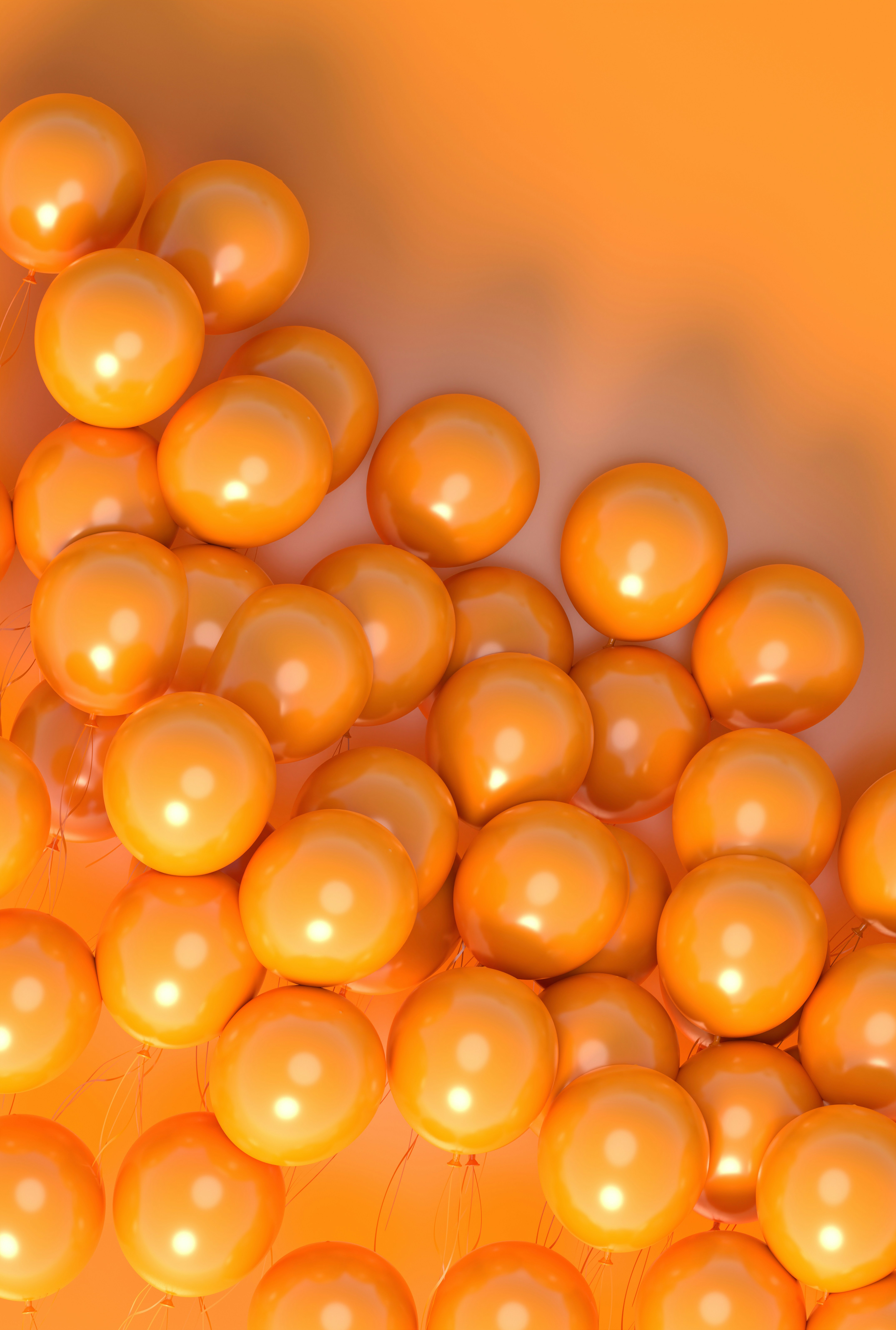 Project Basic Products Project Basic Products